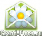 Логотип компании Доставка цветов Гранд Флора (ф-л г.Туапсе)