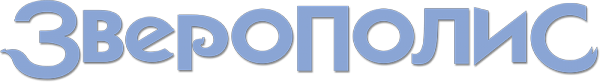 Логотип компании Россия